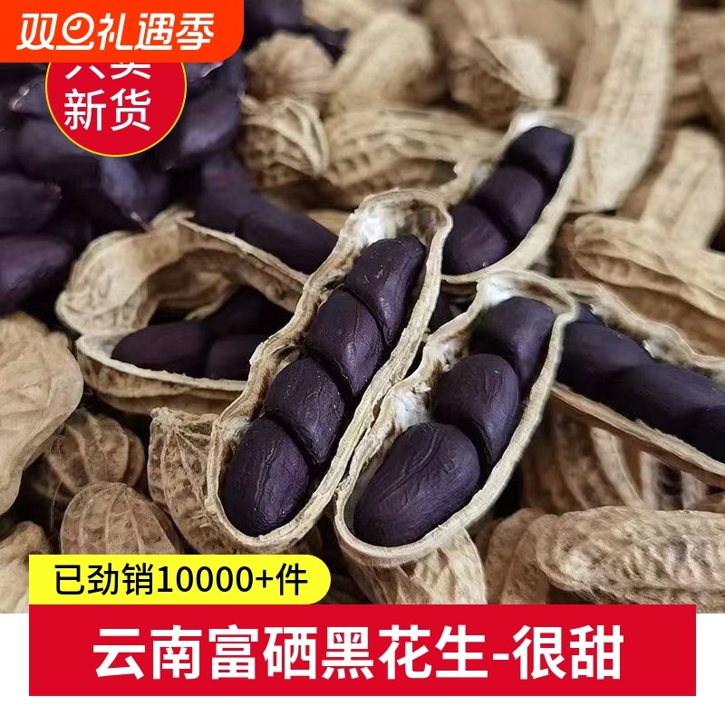 云南黑花生富硒黑花生普洱2025新货晒干黑花生种带壳黑皮花生米