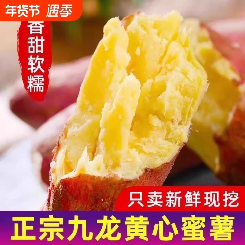 现挖沙地龙九蜜薯红薯新鲜番薯农家现发山芋自种黄心当季软糯,水产肉类/新鲜蔬果/熟食,番薯,淘宝优惠券,粉丝福利购,淘宝优惠卷