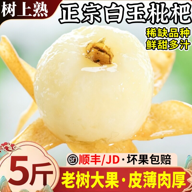 顺丰正宗白玉枇杷鲜果应季水果新鲜现摘大果青种琵琶超甜当季整箱