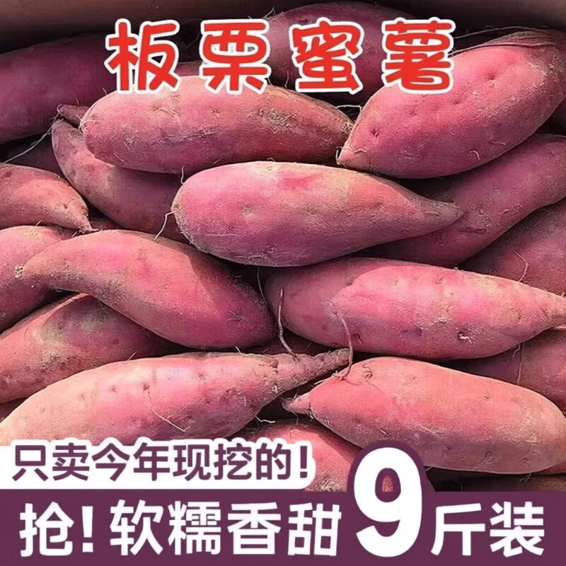 现挖龙九蜜薯地瓜红薯新鲜番薯黄心板栗自种山芋香甜软糯源头