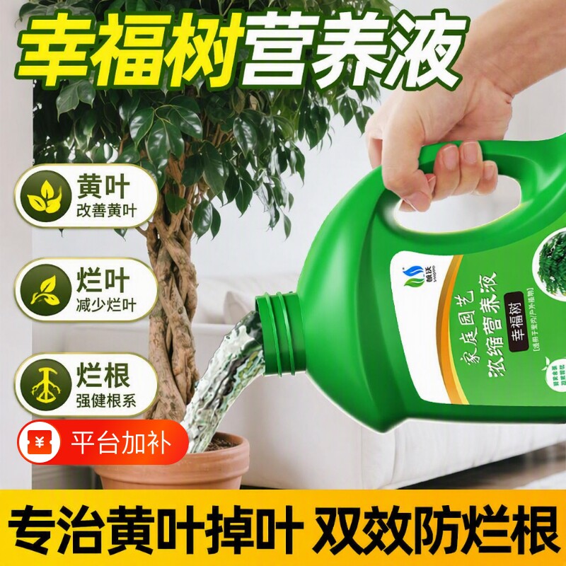 幸福树专用营养液肥料专治叶子落叶绿植盆栽通用型液体肥植物室内