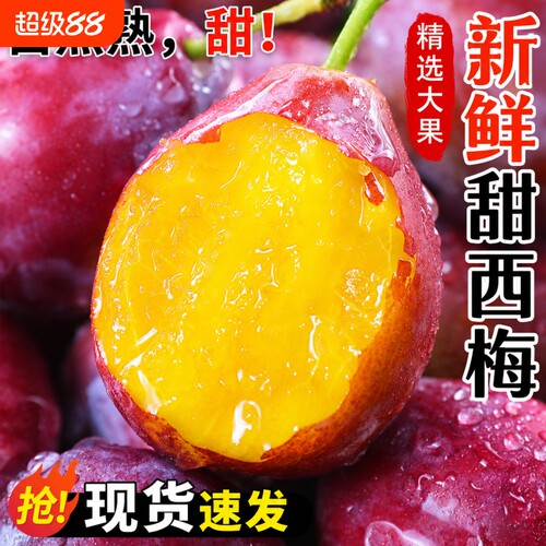 四川高山西梅新鲜当季孕妇水果现摘脆甜法兰西西梅鲜果李子整箱