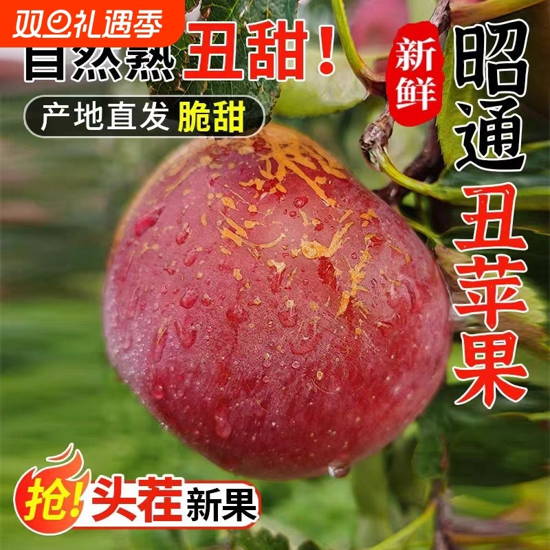 云南昭通糖心丑苹果新鲜水果当季整箱2025正宗冰糖心现摘包邮果园
