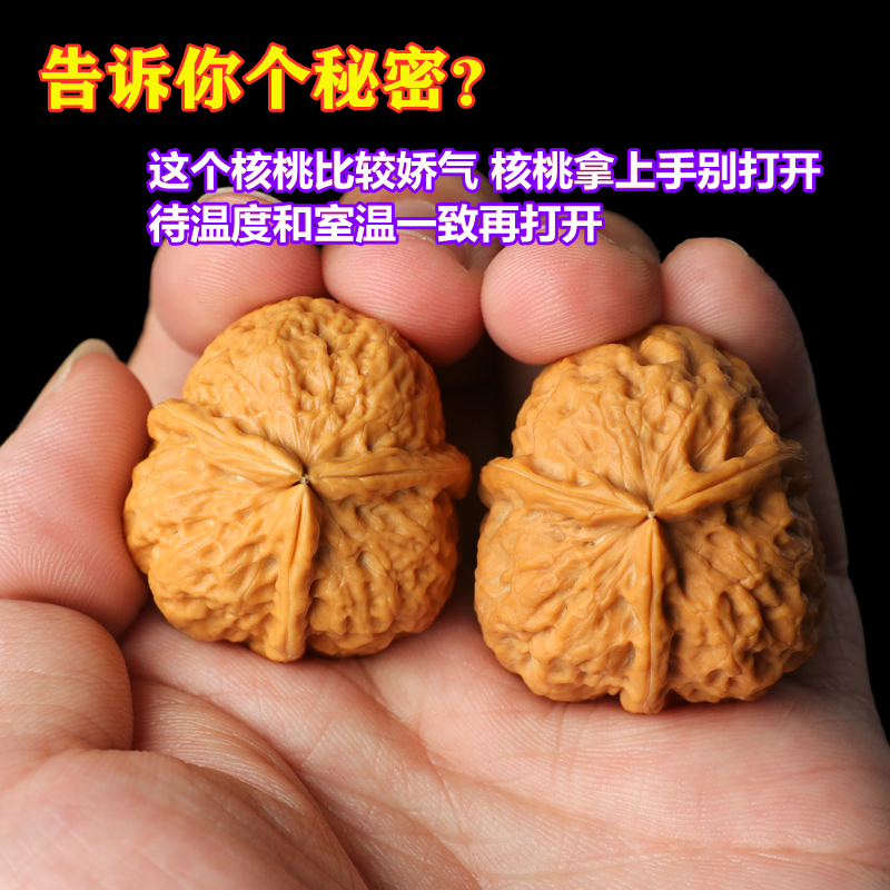 核桃文玩铁核桃野外生三棱正奔