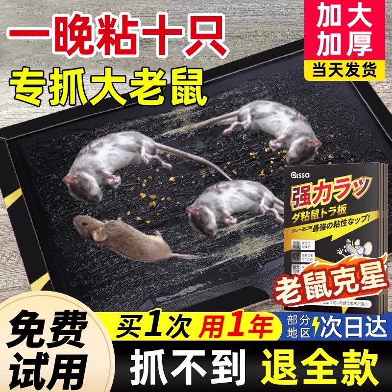 粘鼠板强力胶抓粘大老鼠