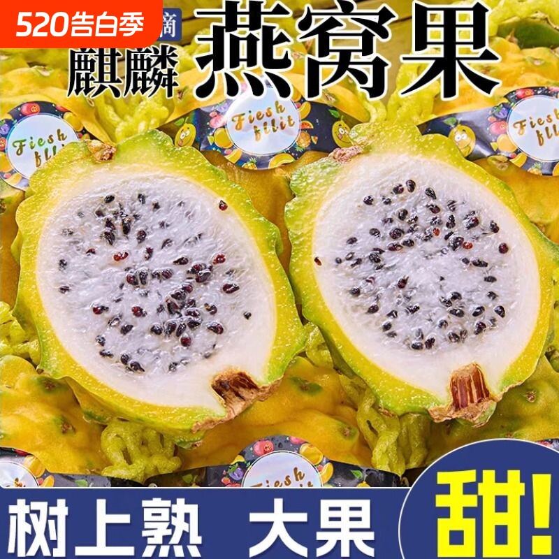 官方海南燕窝果新鲜现摘当季冰糖黄金火龙果麒麟果大果自提热带