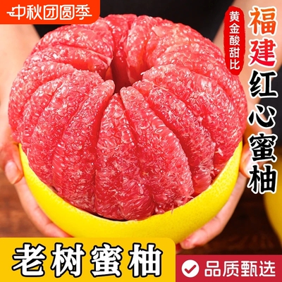 新鲜老树果红心蜜柚水果时令当季生鲜正宗红心柚子蜜甜多汁红柚