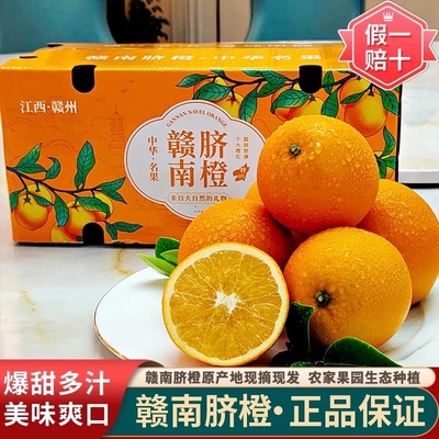 2025年新果正宗江西赣南脐橙新鲜手剥甜橙子孕妇水果赣州年货节