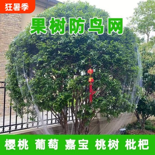 防鸟网果树防鸟罩嘉宝果防小鸟专用尼龙网围网天网防护网阳台葡萄