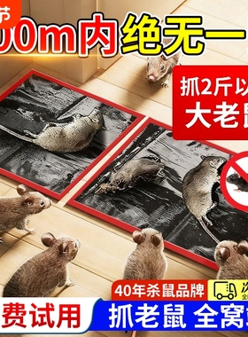 老鼠粘强力粘鼠板捉粘大老鼠贴沾胶抓超强灭鼠家用捕鼠神器老鼠