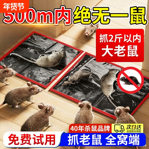 老鼠粘强力粘鼠板捉粘大老鼠贴沾胶抓超强灭鼠家用捕鼠神器老鼠