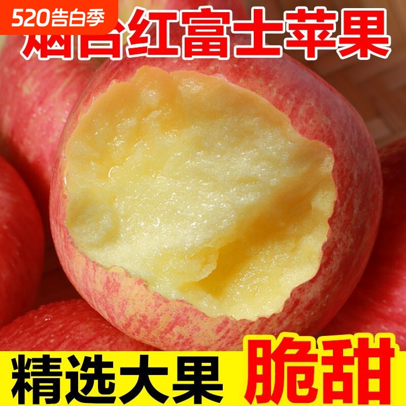 山东烟台苹果栖霞红富士新鲜水果当季脆甜苹果老树自然成熟甜苹果