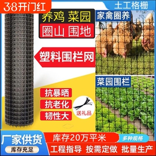 养鸡玉米塑料养殖批发圈网鱼塘山果鸡防护网网格拦园圈网厂家网圈