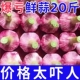 特价 2024新蒜山东紫皮大蒜头红皮香蒜多瓣蒜泡蒜批发湿蒜鲜蒜