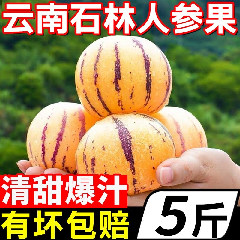 ��Բ���������˲ι�9������������ʯ�������������������ַ�z