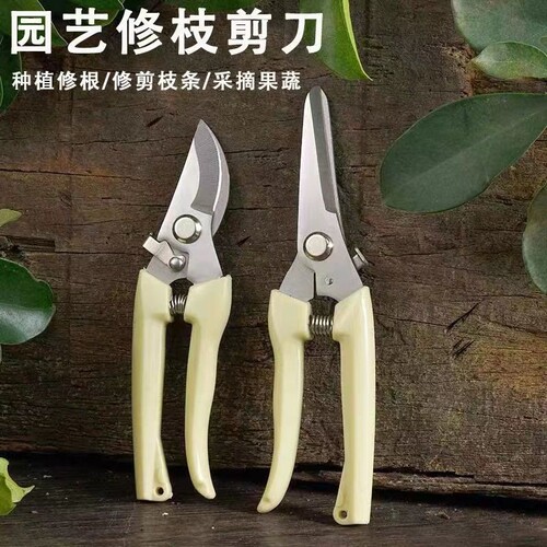 花剪修枝剪花艺剪刀园艺专用剪子工具树枝修剪剪枝花枝不锈钢弹簧