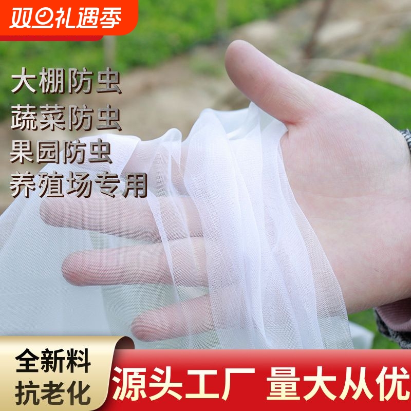 大棚防虫网种菜菜园草莓园蔬菜种植防虫防果蝇网纱网菜地围网加密
