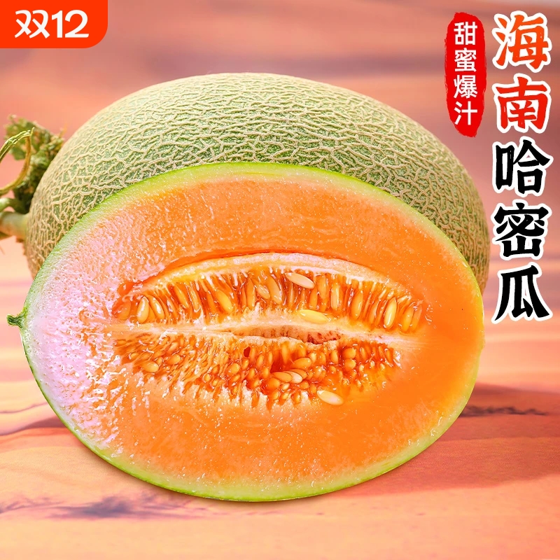 海南哈密瓜9-10斤整箱装