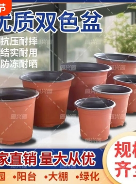 加厚双色盆草莓多肉大号花盆塑料营养钵白色扦插育苗种植阳台豆芽