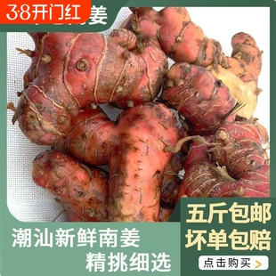 正宗潮汕南姜新鲜山姜良姜红皮白现挖生姜南姜新鲜南姜三年老南姜