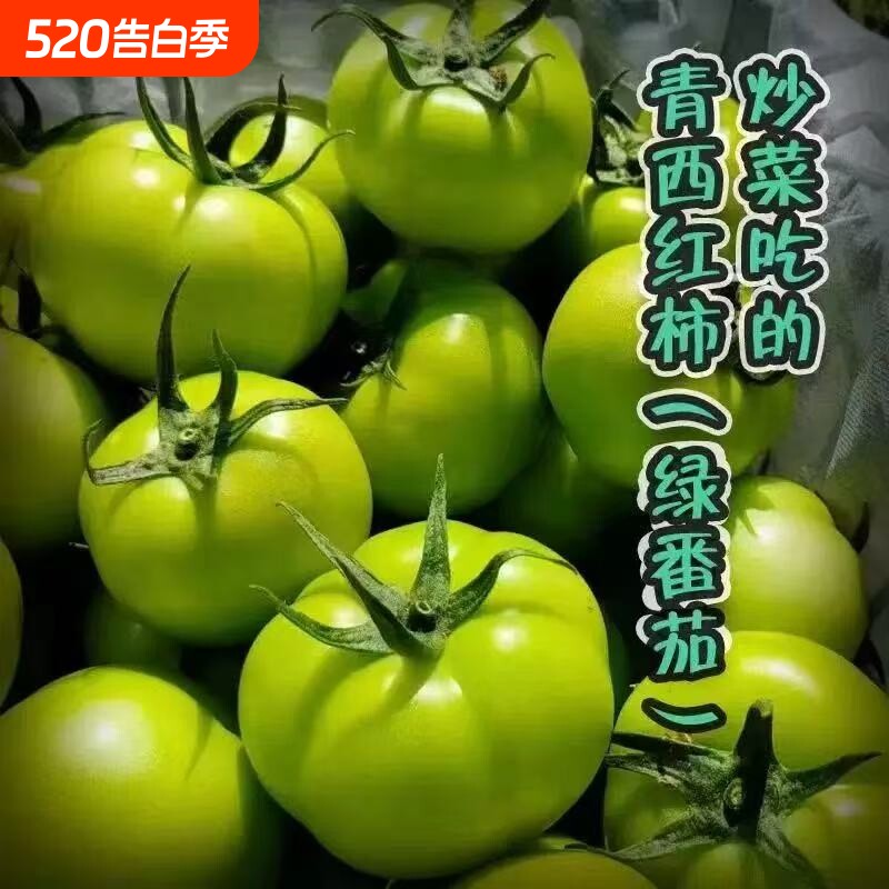 青番茄新鲜现摘未成熟青番茄炒菜青西红柿时令蔬菜现摘现发