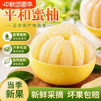正宗福建平和琯溪白心蜜柚净重5斤