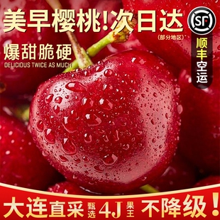 大连美早樱桃新鲜水果国产车厘子当季 顺丰 包邮 大樱桃脆甜礼盒装