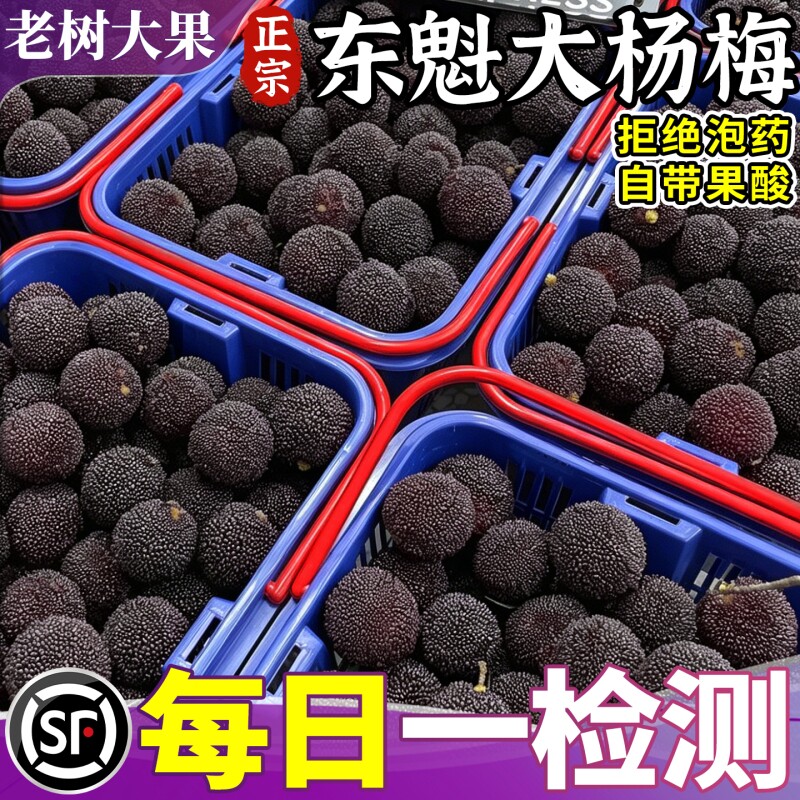 【顺丰包邮】正宗东魁大杨梅鲜果新鲜现摘孕妇整箱老树大果炭梅甜