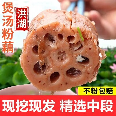 正宗湖北洪湖莲藕新鲜粉藕九孔藕