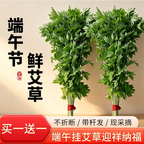 艾草新鲜门挂端午节整颗叶泡脚diy花束挂饰香包香囊驱蚊配件装饰