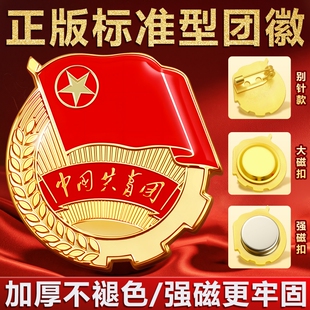团徽2cm强磁磁吸胸针新版标准正版安全别针大磁铁中国共青团员徽章青年学生用不易褪色监制学校批发团购7新款