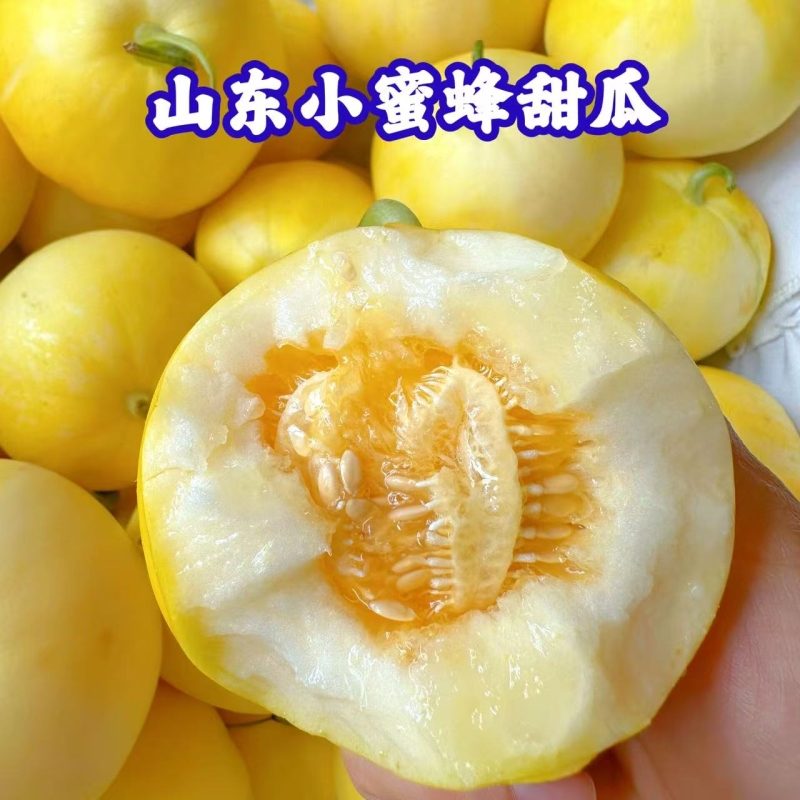 ڲ3 й 150-250ˡ ֭ɽС۷20ˮ䵱Ӧ28.8Ԫ