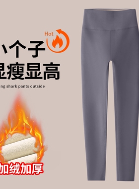 八分小个子鲨鱼皮打底裤女外穿冬季加绒灰色九分瑜伽裤子提臀收腹