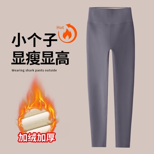 八分小个子鲨鱼皮打底裤女外穿冬季加绒灰色九分瑜伽裤子提臀收腹