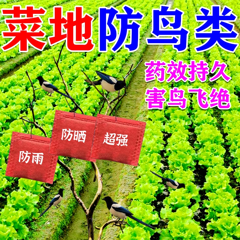 驱鸟神器2025新款驱鸟高效药农用吓鸟驱防鸟剂果树农田菜园赶麻雀