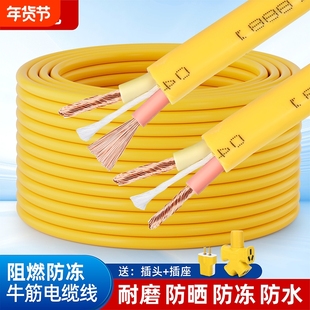电缆线2芯1.5.2.5.4平方家用电线插线板牛筋线户外防水护套线软线