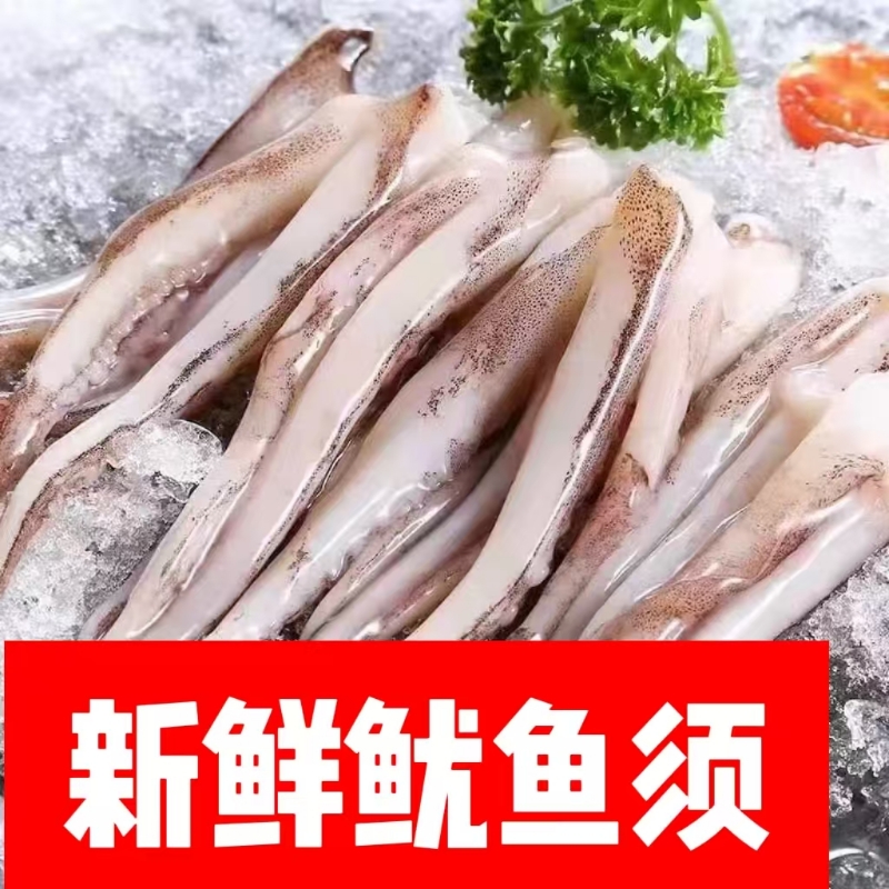 鱿鱼须批发鲜活生鲜海鲜