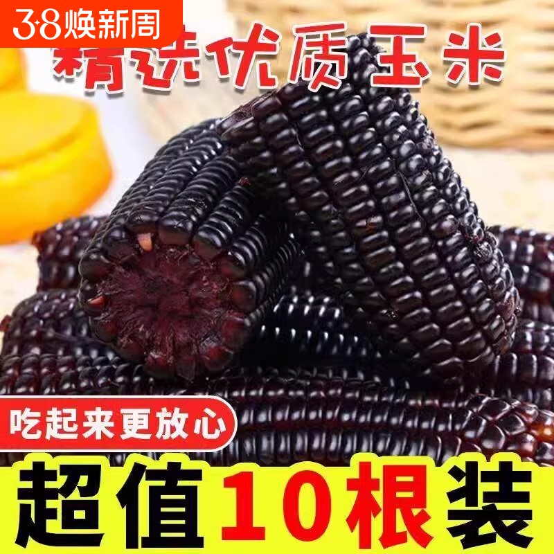 新货头茬黑糯玉米东北黑玉米真空独立装新鲜加热即食苞米黑粘玉米