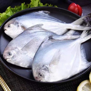小银鲳鱼新鲜海鲜水产深海银鲳鱼昌鱼冷冻白鲳鱼平鱼鳊鱼包邮