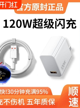 阙听120w快充电器适用小米1715120w4Pro163/12红米K70至尊版K50手机K60闪充Note13Pro线a套装充无线金标数据