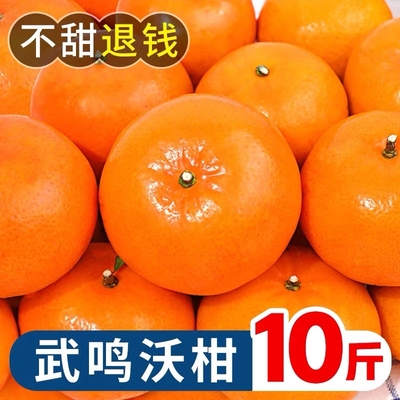 正宗广西武鸣沃柑5斤新鲜水果当季沙糖蜜橘砂糖柑橘整箱年货节