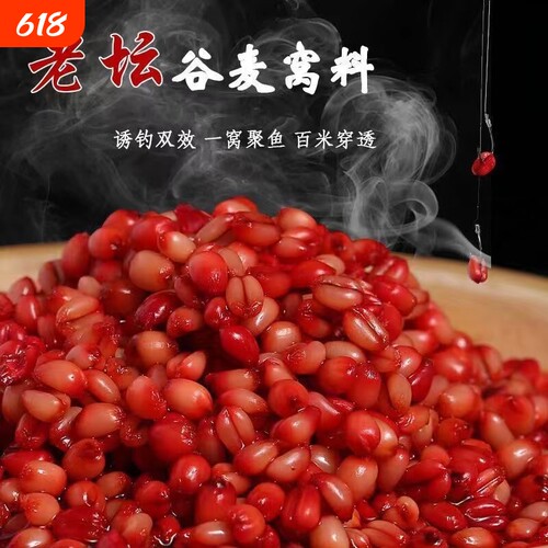 大鲫鱼鲤鱼酒米野钓窝料小麦粒打窝米打窝料钓鱼饵料麦子发酵钓饵