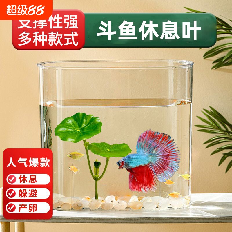 斗鱼睡觉休息产卵叶片鱼缸造景装饰仿真荷叶鱼宠躲避栖息安全无毒