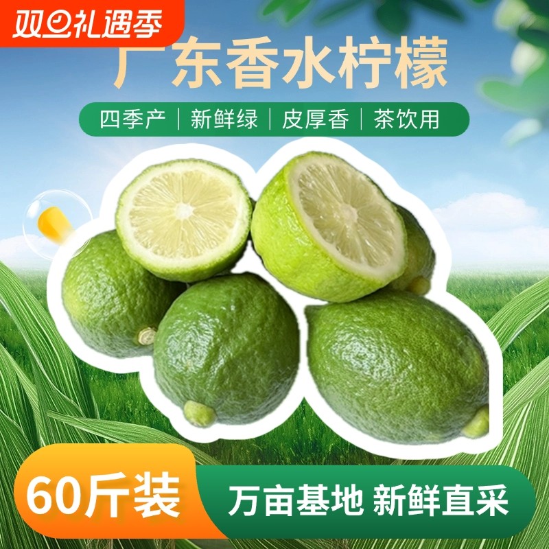 现摘广东香水柠檬奶茶店专用青柠檬无籽9斤批发5斤新鲜