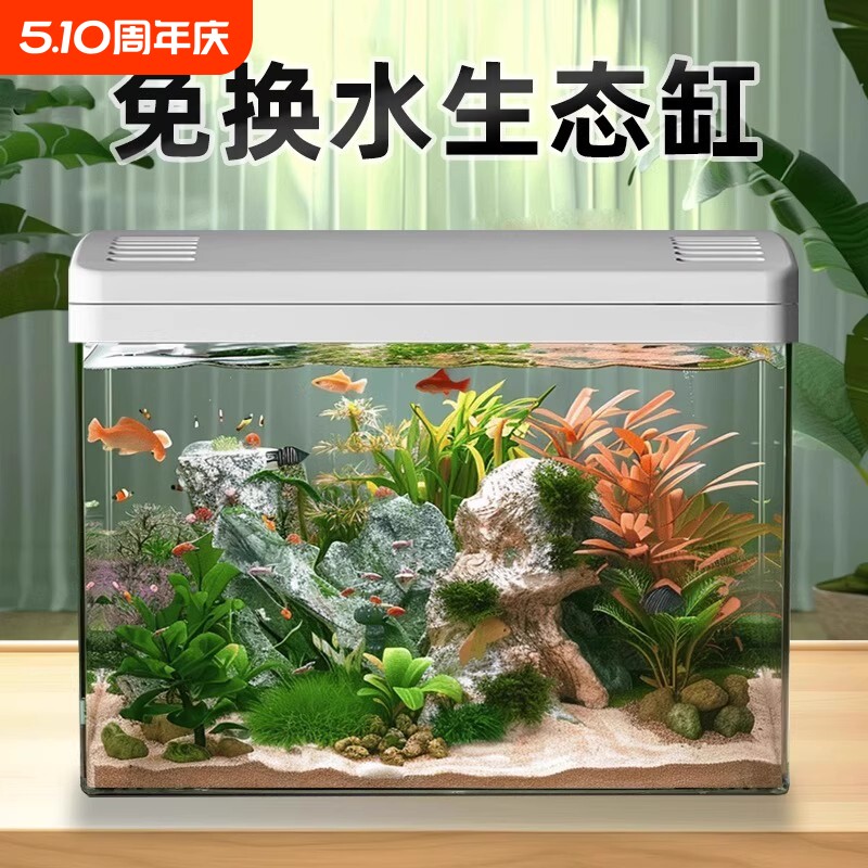 鱼缸客厅家用2025新款过滤制氧一体专业造景金鱼斗鱼小型生态缸