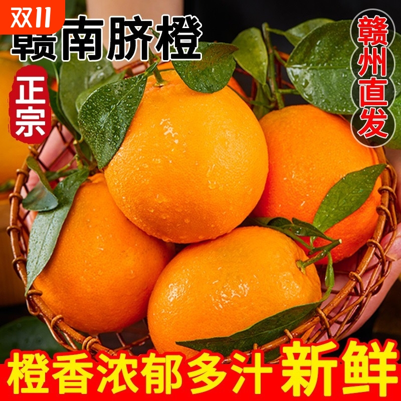 江西赣南脐橙正宗橙子现摘当季应季孕妇新鲜水果手剥橙9斤