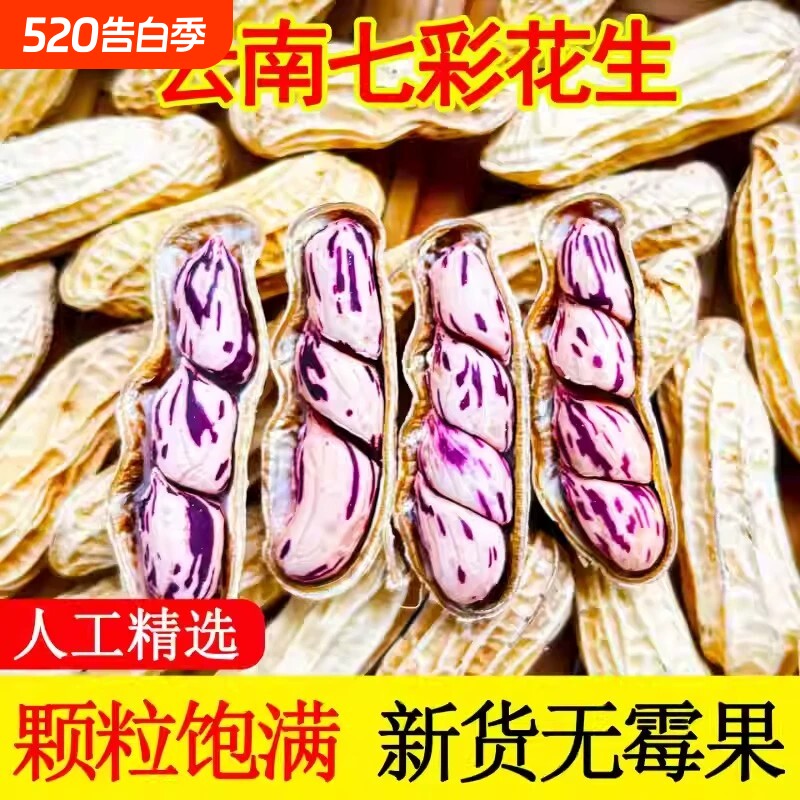 云南七彩花生农家晒干可带壳零食年货批发新鲜原味新货特色健康