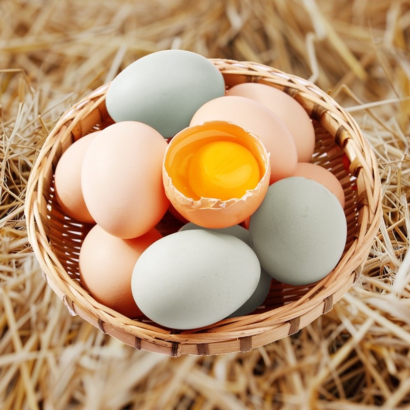 农家散养土鸡蛋新鲜现捡乌鸡蛋正宗绿壳柴鸡蛋谷物喂养营养健康