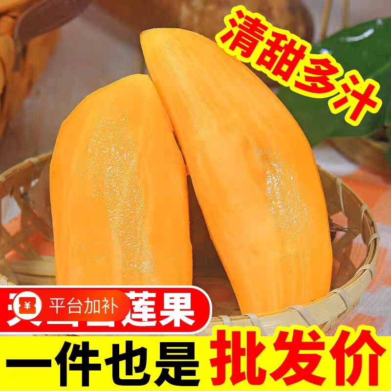 现货云南天山雪莲果新鲜水果当季产地直发脆甜多汁新鲜水果雪连果