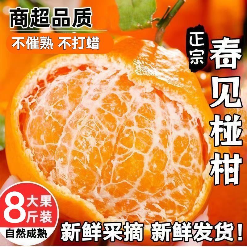 新鲜椪柑芦柑子新鲜水果当季椪柑现发整箱9斤柑橘酸甜鲜果橘子